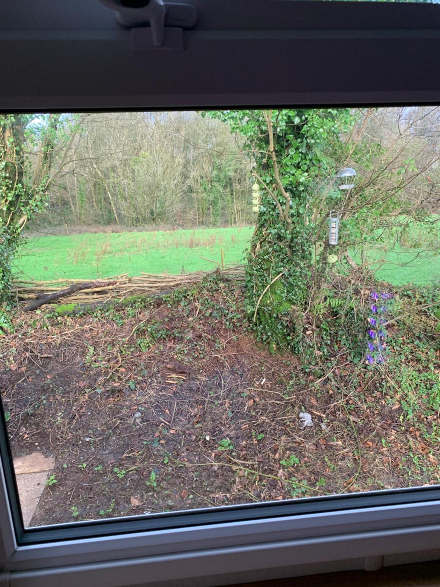 4 Devon Country, Bideford Bay Holiday Park Bucks Mills Eksteriør billede